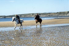 Ireland-Sligo/Donegal-Cross Country & Jumping  Program - Sligo